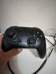 Nintendo Pro Controller